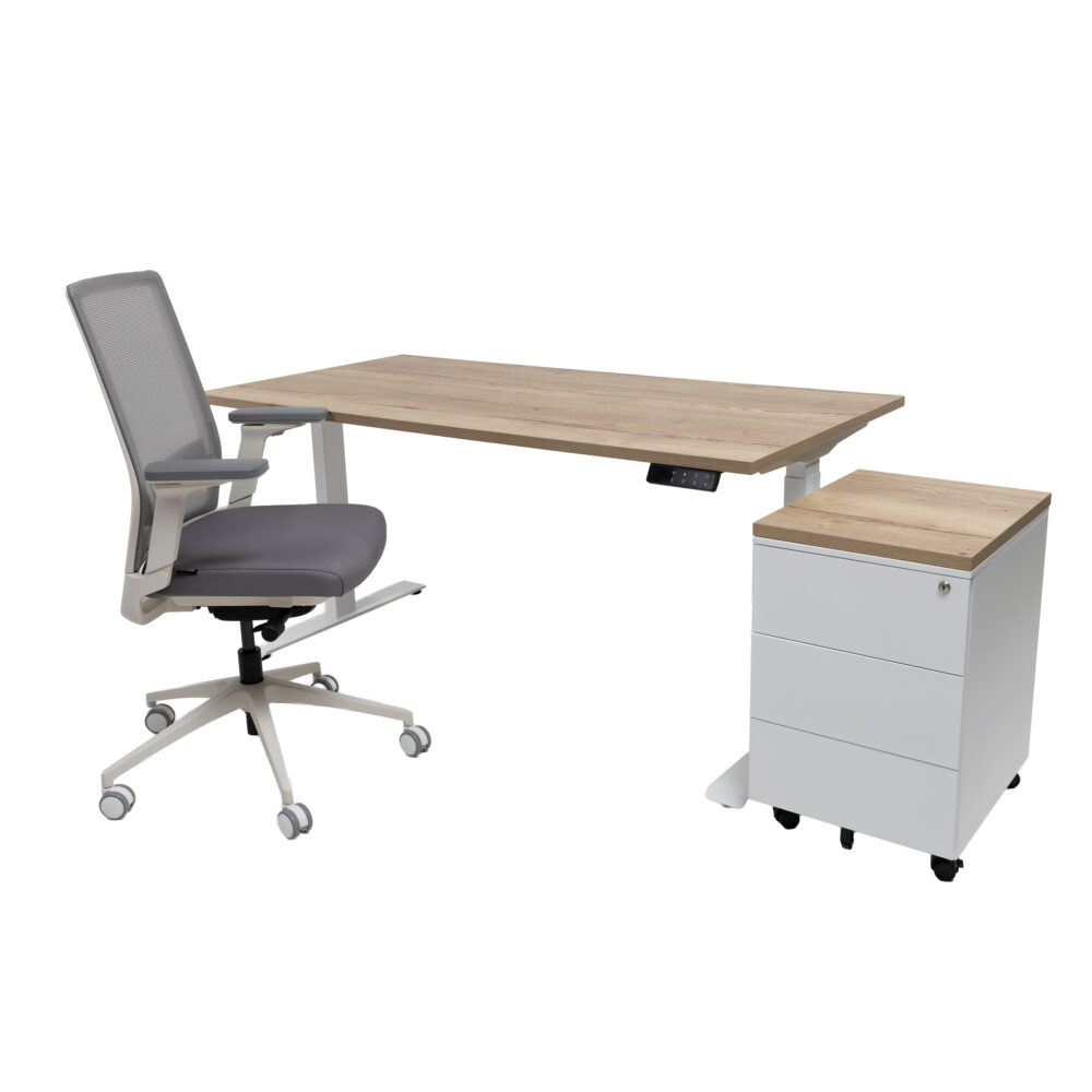 ERGO ONE Elektrisch Zit-Sta Bureau